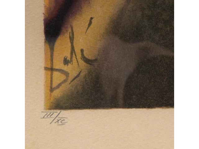 Salvador dali (1904-1989), 'cécile receives germeuil's letter' and 'the obsequies for clorinda', two lithographs, n° iii/xc, 53 x 43 cm. (20.87 x 16.92 in.), frame: 94 x 70 cm. (37.00 x 27.55 in.) - afbeelding 4 van  14