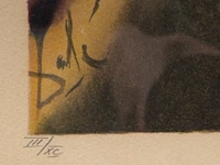 Salvador dali (1904-1989), 'cécile receives germeuil's letter' and 'the obsequies for clorinda', two lithographs, n° iii/xc, 53 x 43 cm. (20.87 x 16.92 in.), frame: 94 x 70 cm. (37.00 x 27.55 in.) - afbeelding 4 van  14