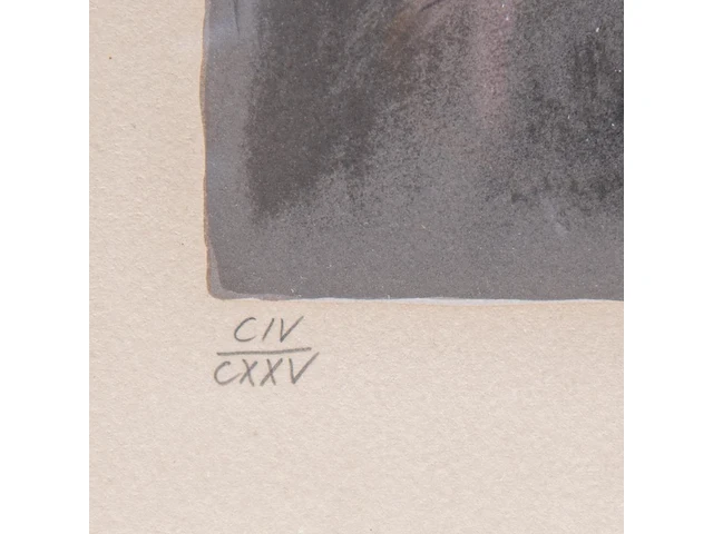 Salvador dali (1904-1989), 'whoever carries off carmen must pay with his life', lithograph, n° civ/cxxv 54 x 43 cm. (21.26 x 16.92 in.), frame: 87 x 71 cm. (34 1/4 x 27.94 in.) - afbeelding 5 van  7