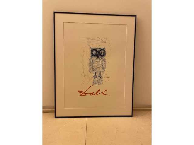 Salvador dali - afbeelding 1 van  3