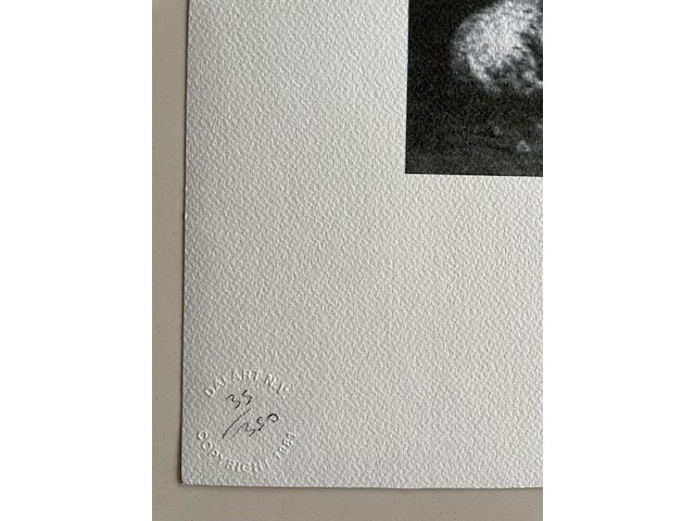 Salvador dali - afbeelding 3 van  4