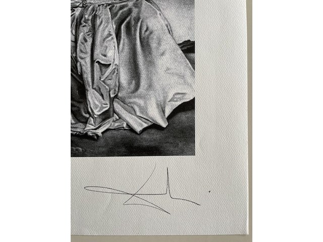 Salvador dali - afbeelding 4 van  4