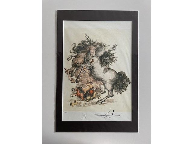 Salvador dali - afbeelding 1 van  5