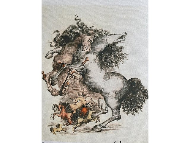 Salvador dali - afbeelding 3 van  5