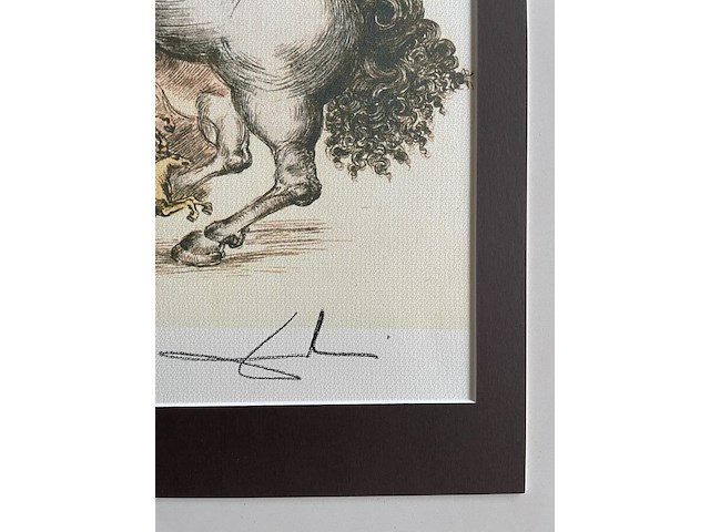 Salvador dali - afbeelding 5 van  5