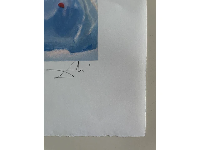 Salvador dali - afbeelding 4 van  4