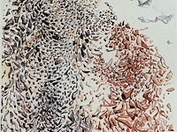 Salvador dali - afbeelding 2 van  4