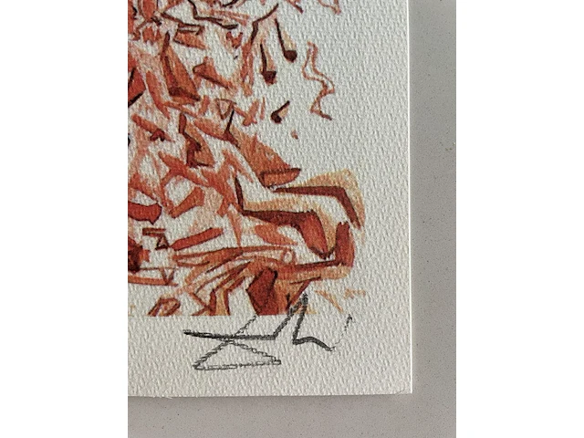 Salvador dali - afbeelding 4 van  4