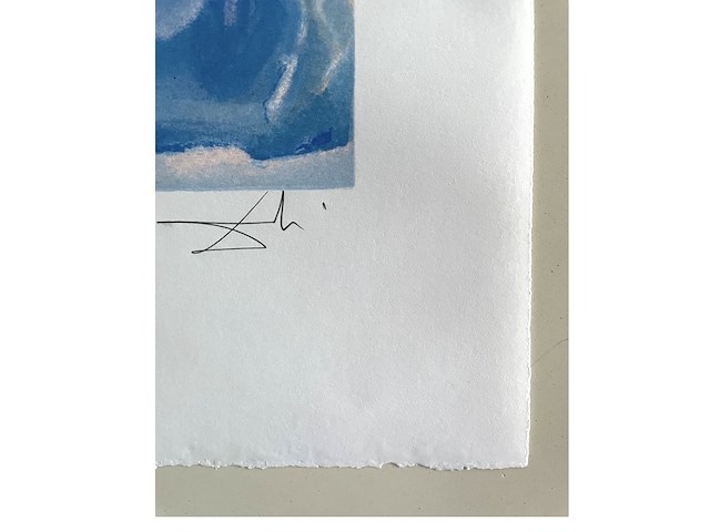 Salvador dali - afbeelding 4 van  4