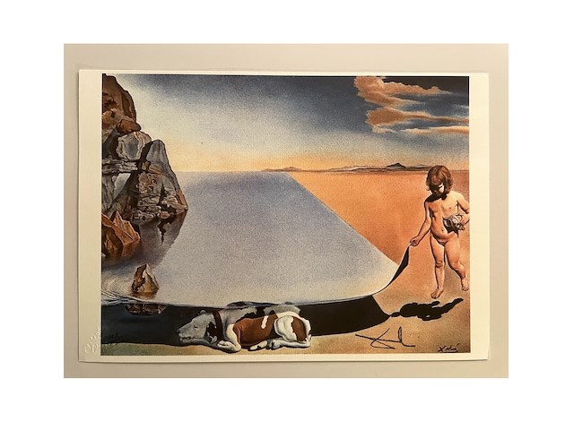 Salvador dali - afbeelding 1 van  4