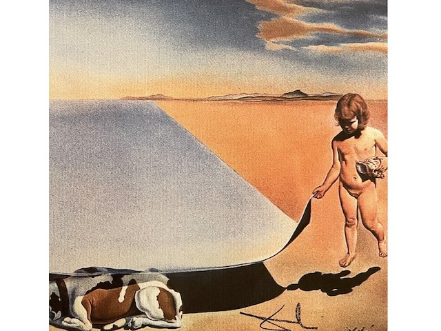 Salvador dali - afbeelding 2 van  4