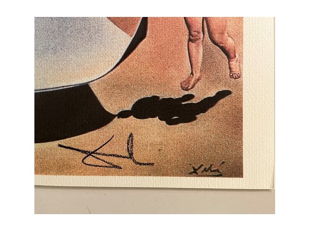 Salvador dali - afbeelding 4 van  4