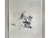 Salvador dali - afbeelding 1 van  4