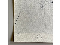 Salvador dali - afbeelding 4 van  4