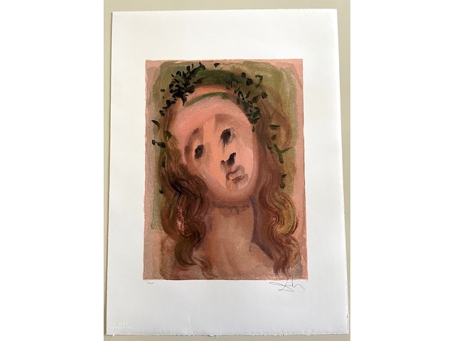 Salvador dali - afbeelding 1 van  4