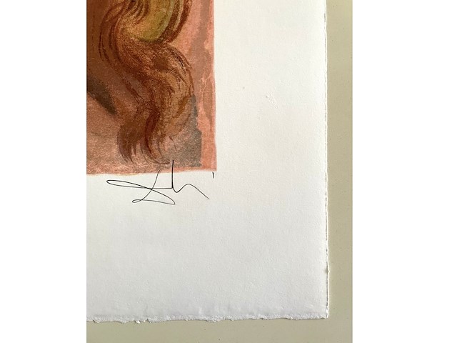 Salvador dali - afbeelding 4 van  4