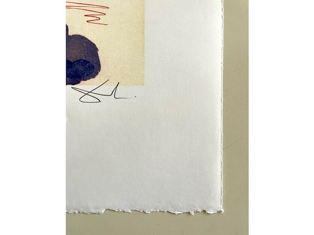 Salvador dali - afbeelding 4 van  4