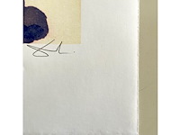 Salvador dali - afbeelding 4 van  4