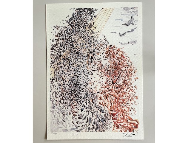 Salvador dali - afbeelding 1 van  4