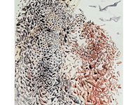 Salvador dali - afbeelding 2 van  4