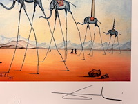 Salvador dali - afbeelding 4 van  4