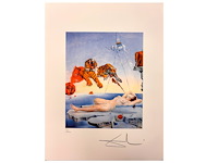 Salvador dali - afbeelding 1 van  4