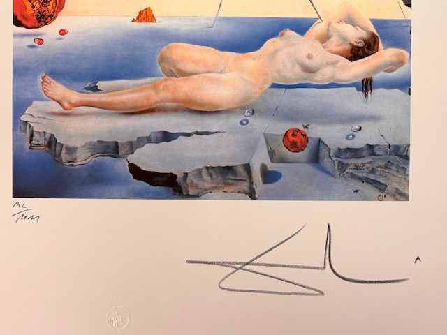 Salvador dali - afbeelding 4 van  4
