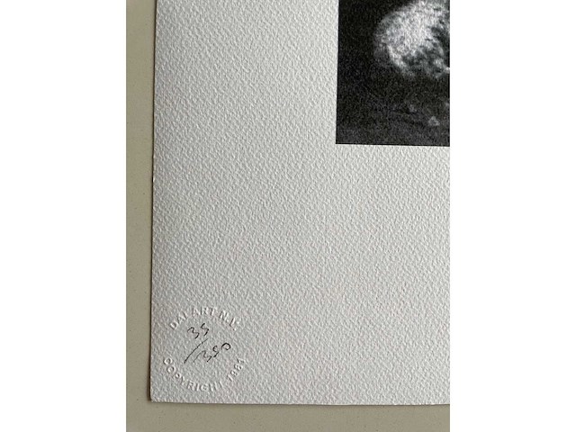 Salvador dali - afbeelding 3 van  4