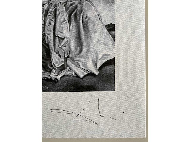 Salvador dali - afbeelding 4 van  4