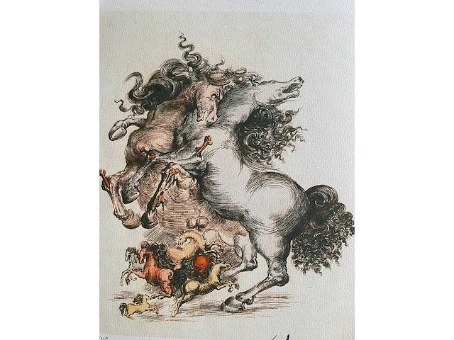 Salvador dali - afbeelding 2 van  3