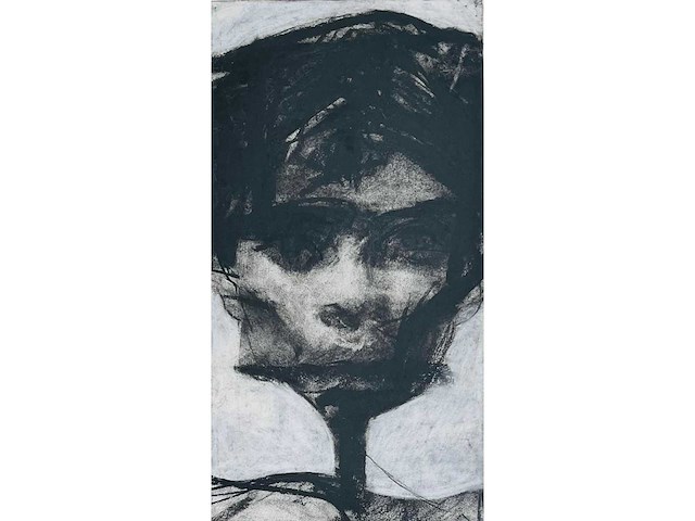 Sam dillemans - gemengde techniek - afbeelding 1 van  8