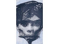 Sam dillemans - gemengde techniek - afbeelding 3 van  8