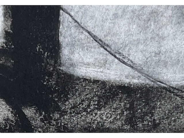 Sam dillemans - gemengde techniek - afbeelding 6 van  8