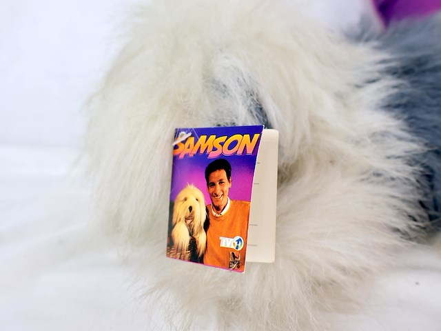 Samson & gert - afbeelding 4 van  6