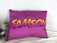 Samson & gert - afbeelding 5 van  6