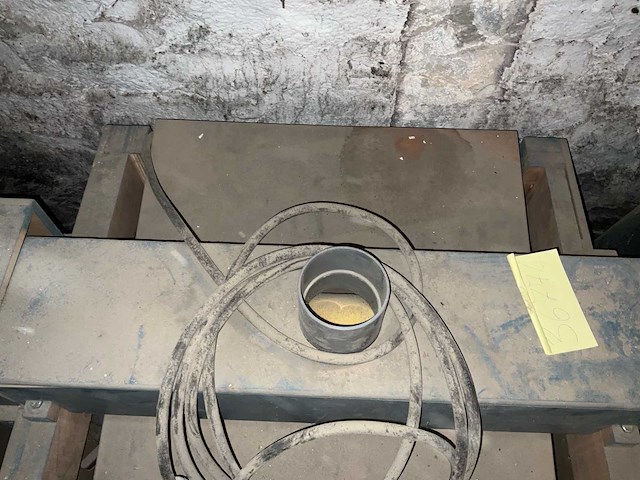 Sander - afbeelding 5 van  6