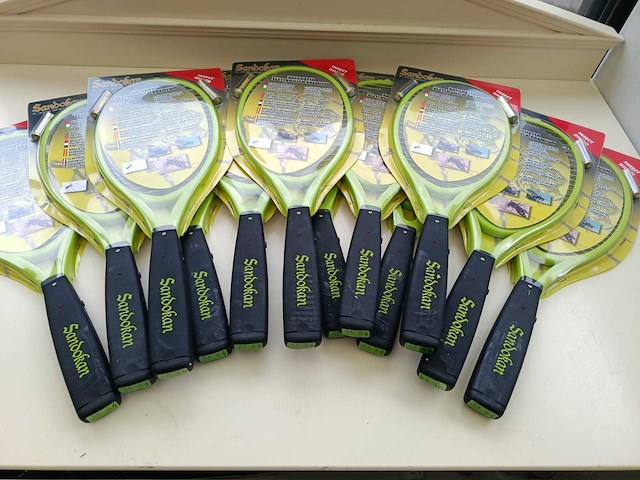 Sandokan - vliegenmepper - insectenvanger - afbeelding 1 van  3