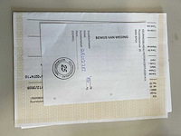 Saris aanhangwagen - afbeelding 6 van  16