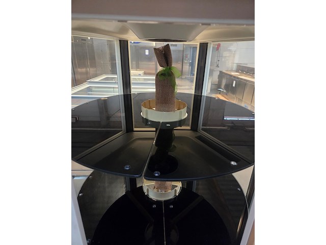 Scaiola - afbeelding 6 van  9