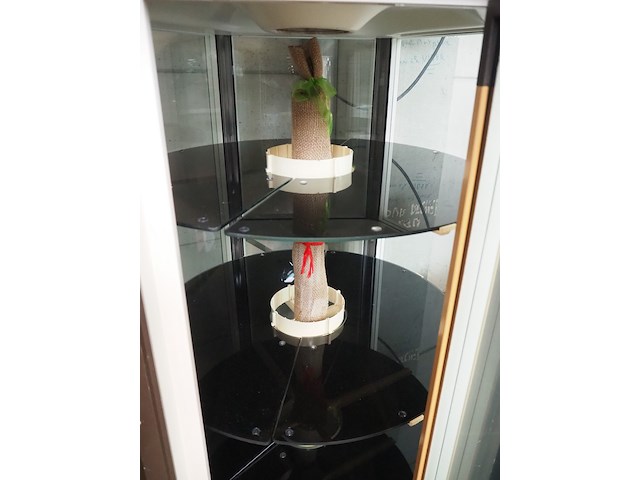 Scaiola - afbeelding 3 van  5