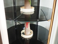 Scaiola - afbeelding 3 van  5