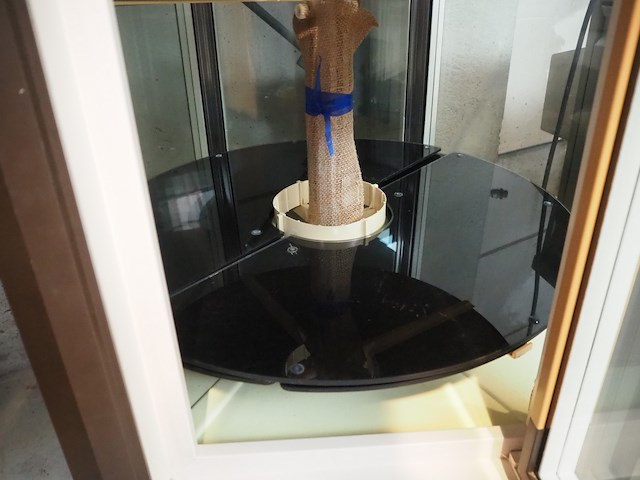 Scaiola - afbeelding 4 van  5