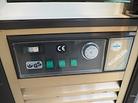 Scaiola - afbeelding 5 van  5