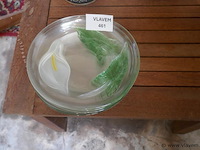 Schaaltjes in glas - afbeelding 1 van  1
