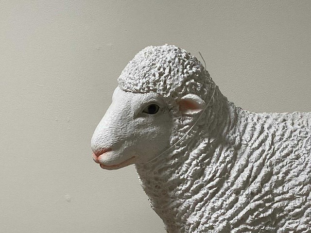 Schaap staand h47cm x l60cm wit - afbeelding 1 van  1