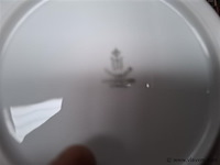 Schalen - afbeelding 3 van  3