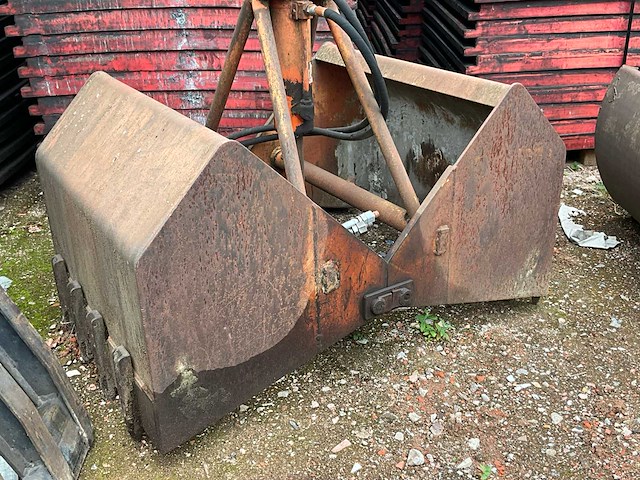 Schalengrijper - afbeelding 2 van  5