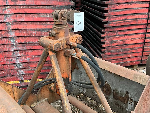 Schalengrijper - afbeelding 3 van  5