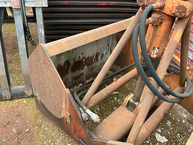 Schalengrijper - afbeelding 4 van  5