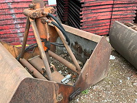 Schalengrijper - afbeelding 5 van  5